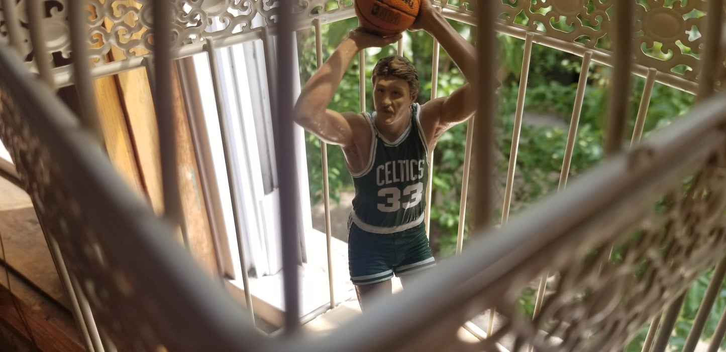 Matthew Lee Rosen - Larry Bird Cage