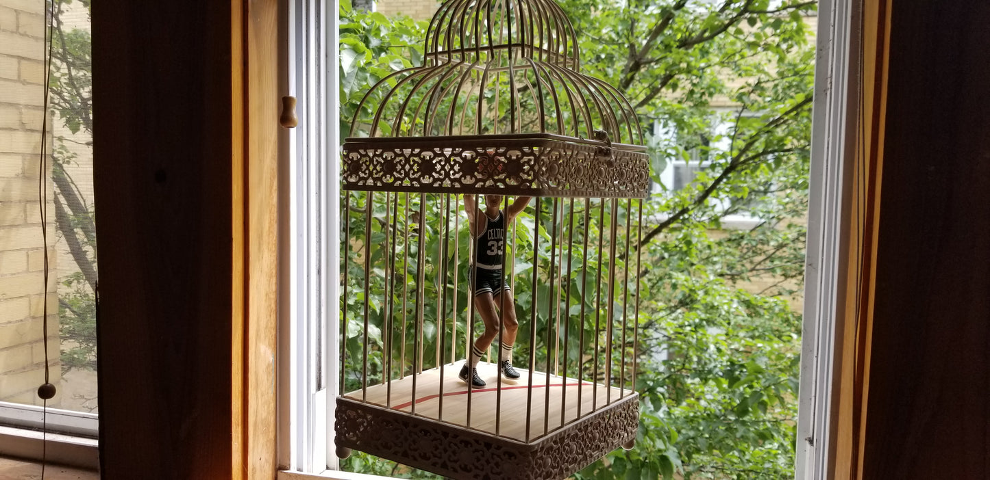 Matthew Lee Rosen - Larry Bird Cage