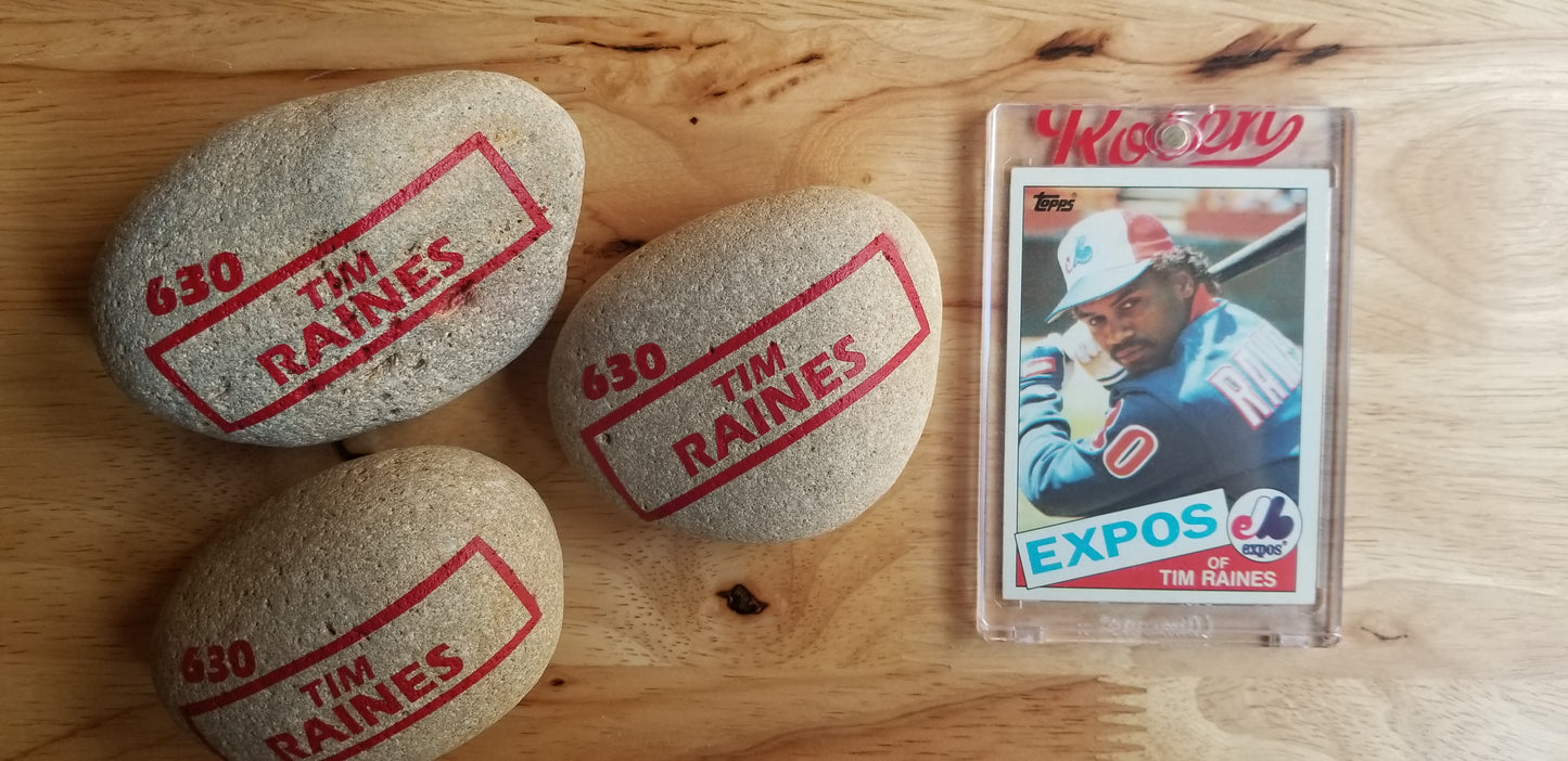 Baseball card art by Matt Rosen - Pet Rock Tim Raines